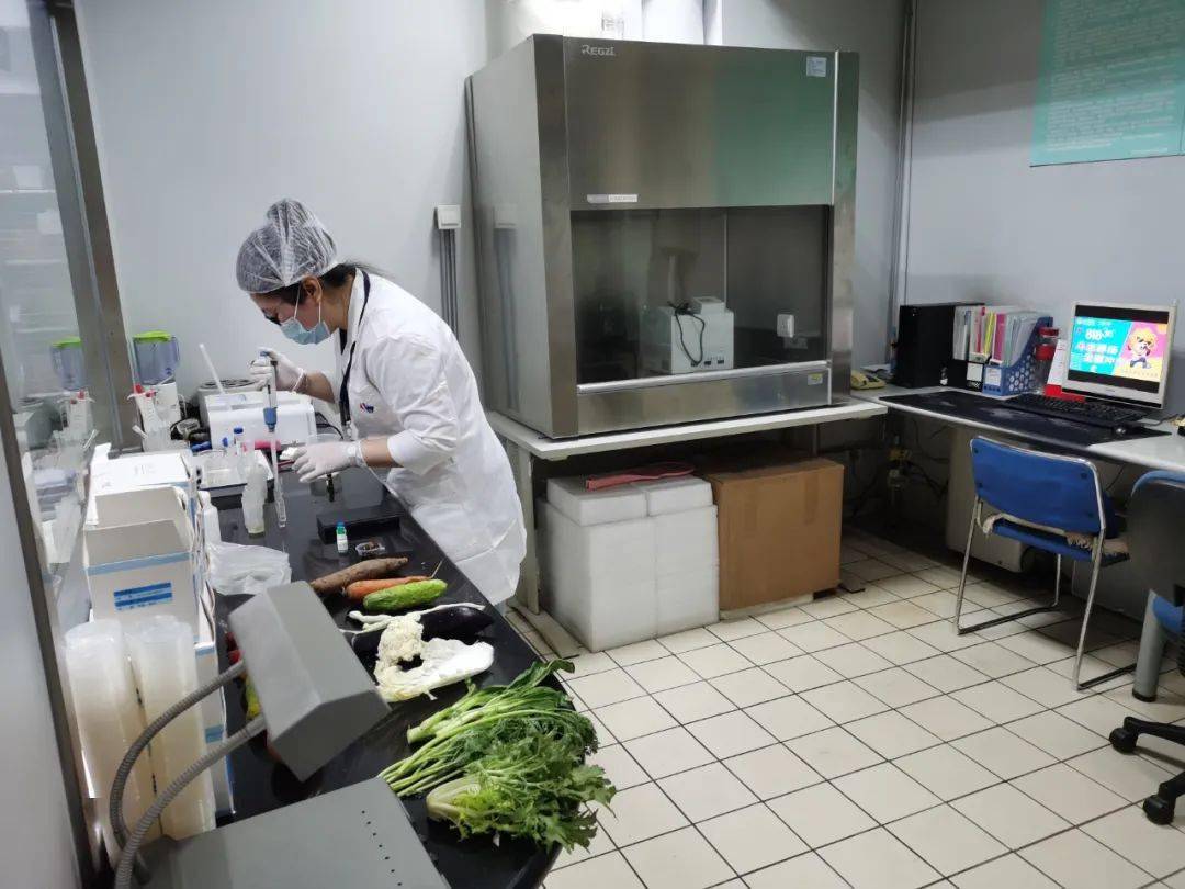 金湾食品检测实验室装修方案